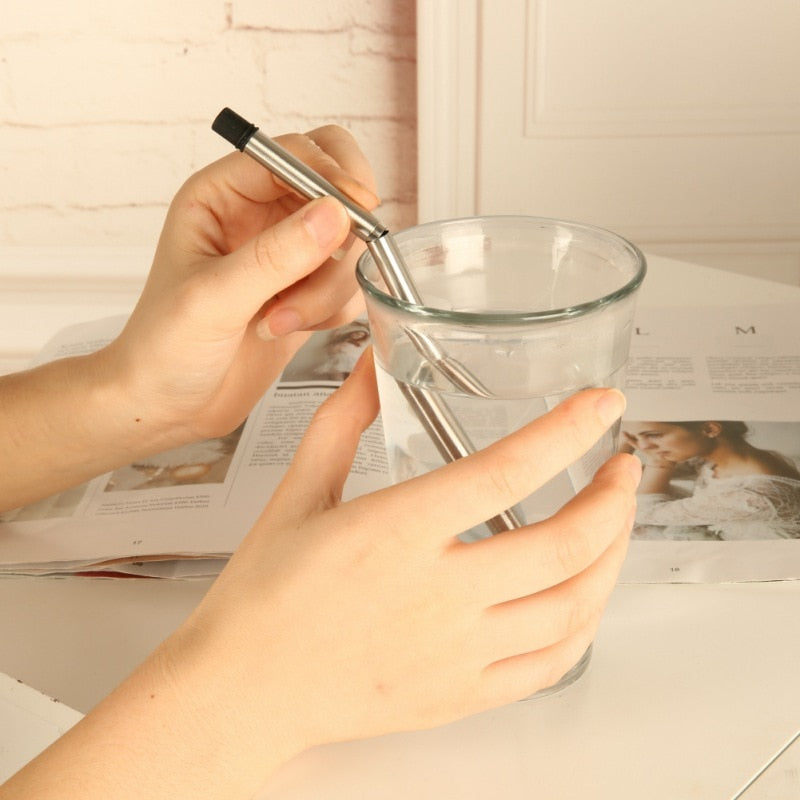 Reusable Collapsible Metal Straw