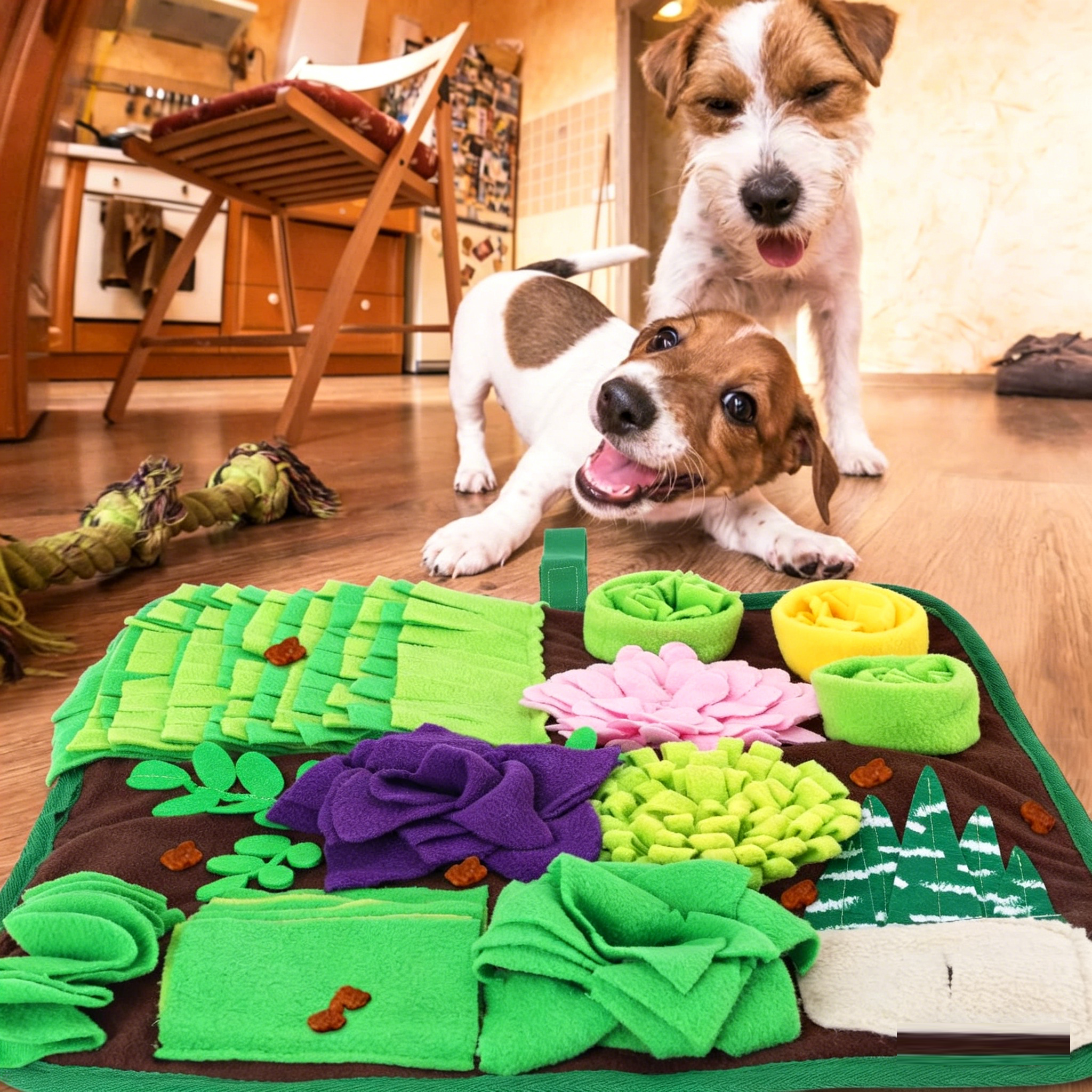 Pet Sniffing & Feeding Pad | Slow Feeder Interactive Training Mat | 42x42cm